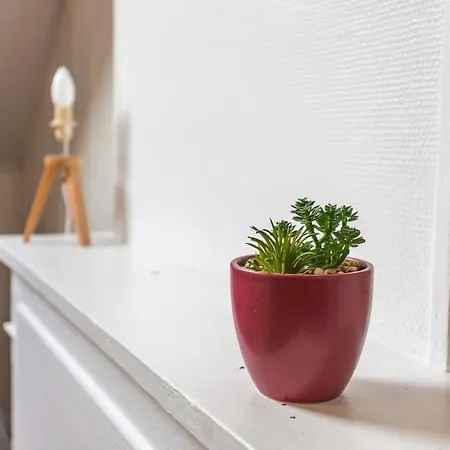Le Rouge&historique - Cathédrale Amiens