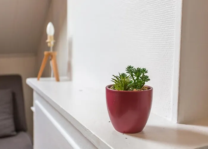 Le Rouge&historique - Cathédrale Amiens