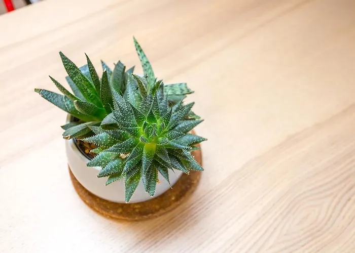 Apartamento Le Rouge&historique - Cathédrale